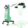 10D Maxlipo Master 532nm Green Light Laser Slimming Machine